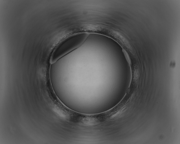 X0000091670444200708231333
