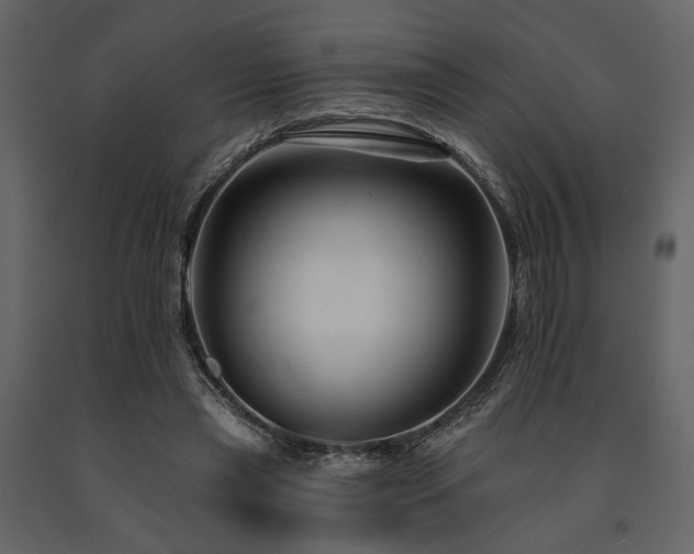 X0000091670445200708231333