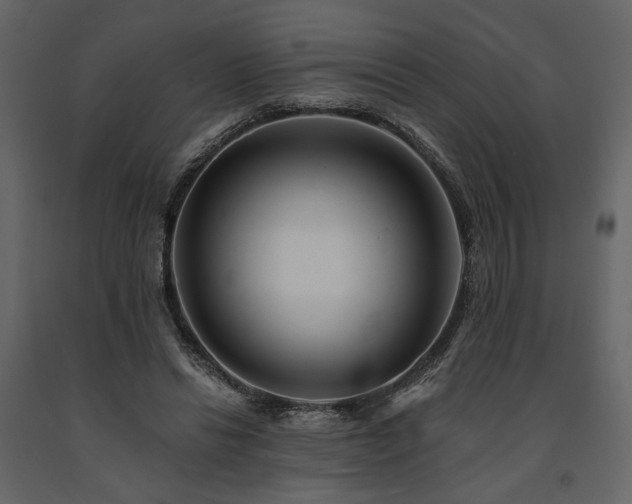 X0000091670446200708231333