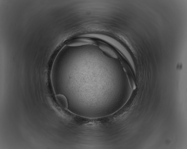 X0000091670447200708231333