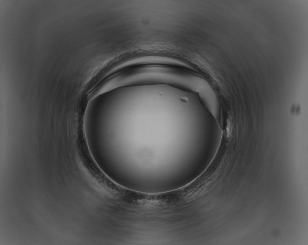 X0000091670448200708231333