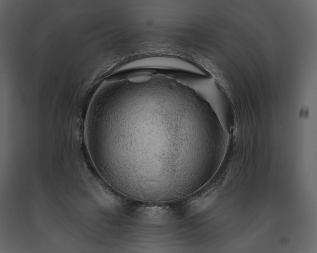 X0000091670449200708231333