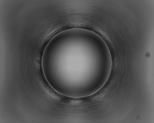 X0000091670450200708231333