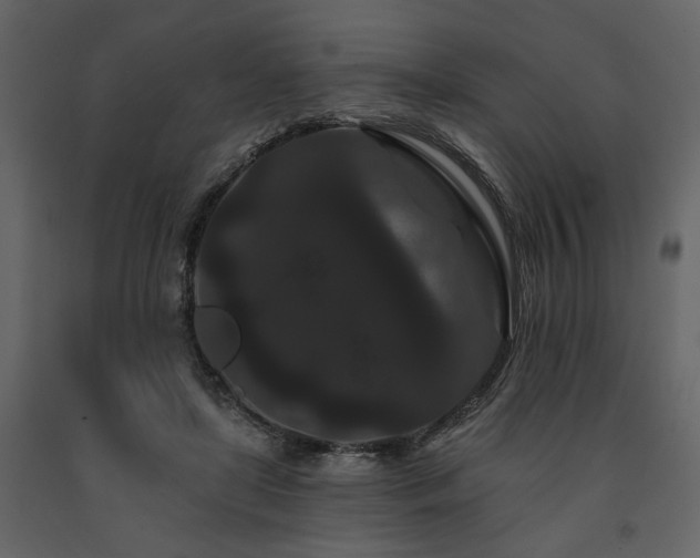 X0000091670451200708231333