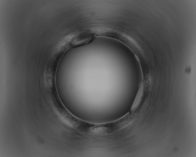 X0000091670452200708231333