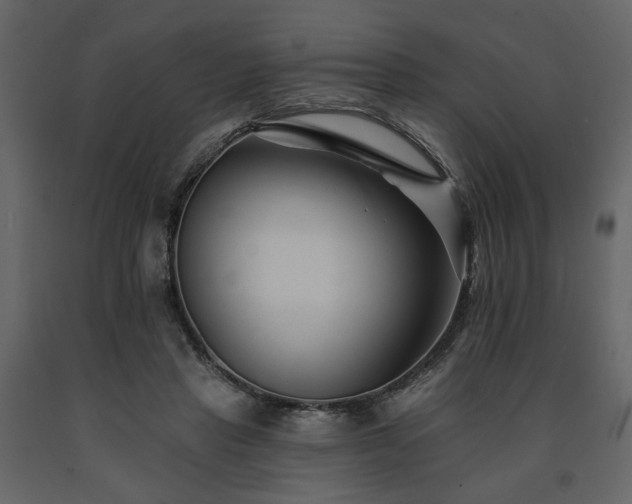 X0000091670453200708231333