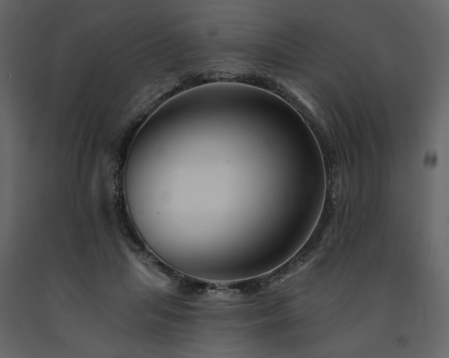 X0000091670455200708231333