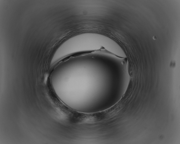 X0000091670456200708231333