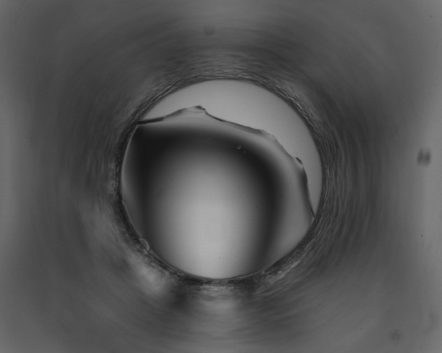 X0000091670457200708231333