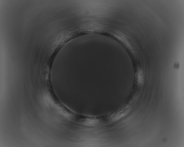 X0000091670458200708231333