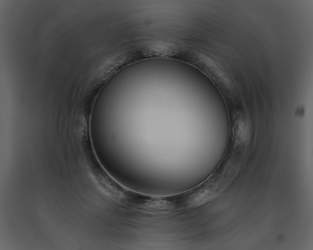 X0000091670459200708231333