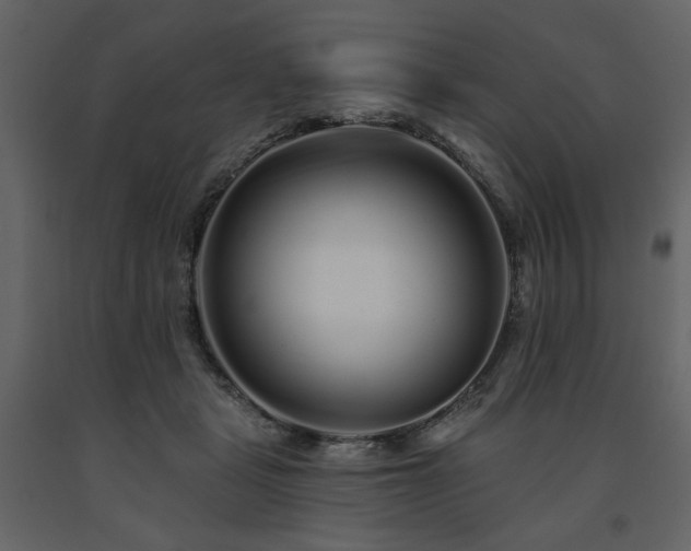 X0000091670461200708231333