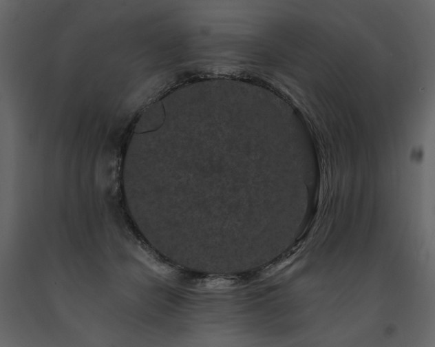 X0000091670462200708231333
