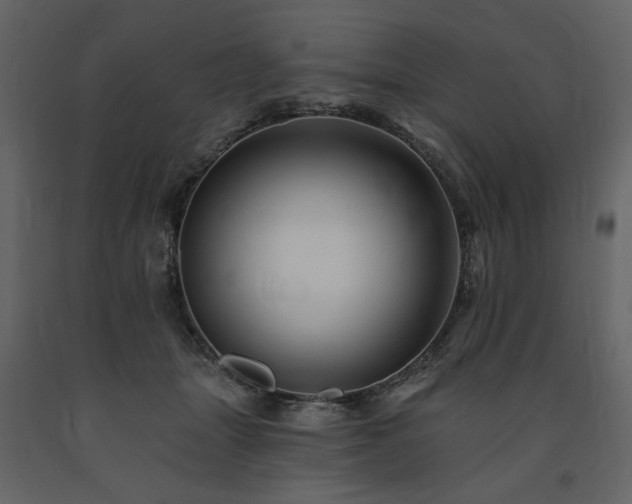 X0000091670463200708231333