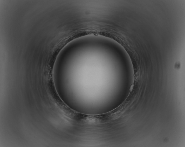 X0000091670464200708231333