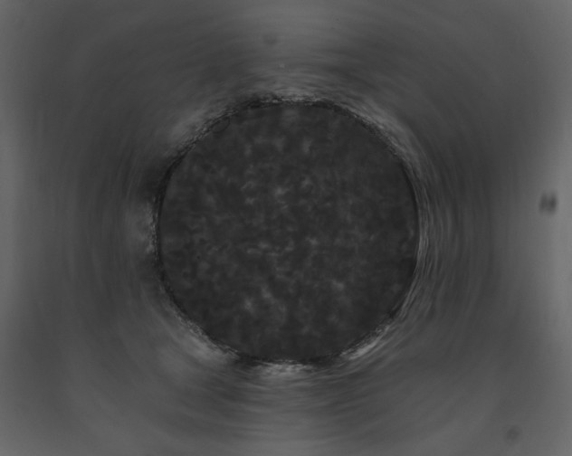 X0000091670465200708231333