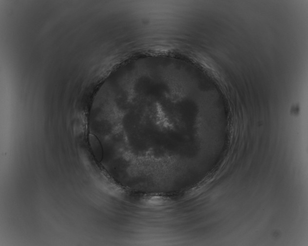 X0000091670467200708231333