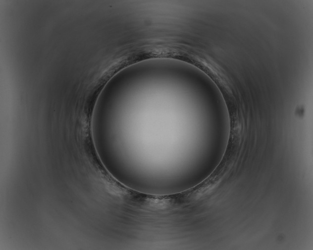 X0000091670469200708231333