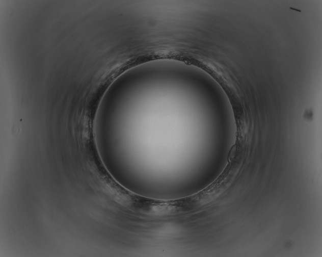 X0000091670470200708231333