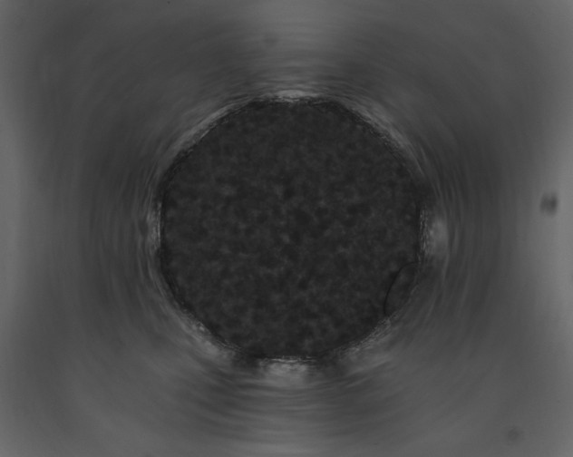 X0000091670471200708231333
