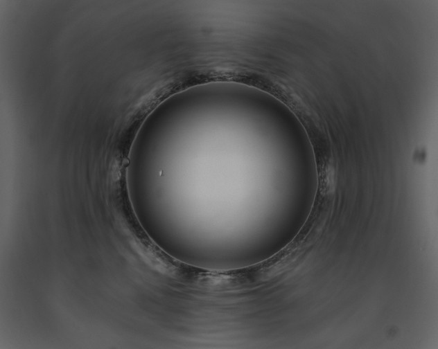 X0000091670472200708231333