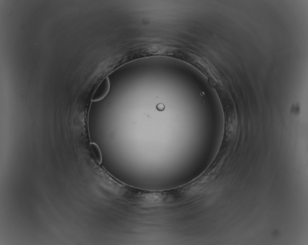 X0000091670473200708231334