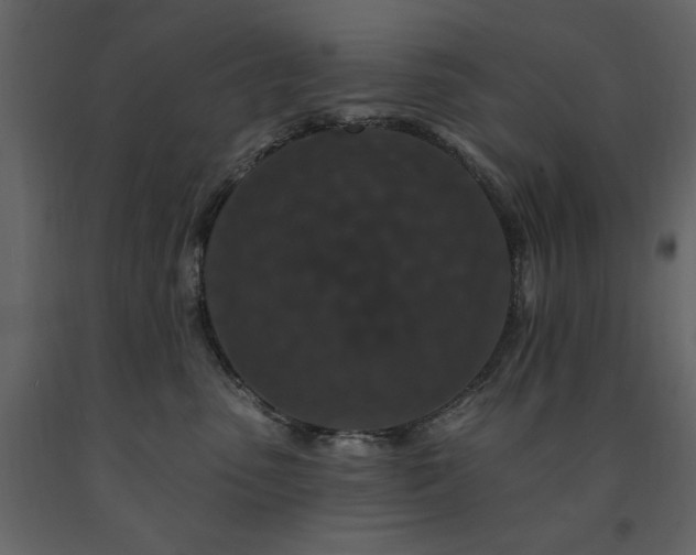 X0000091670475200708231334