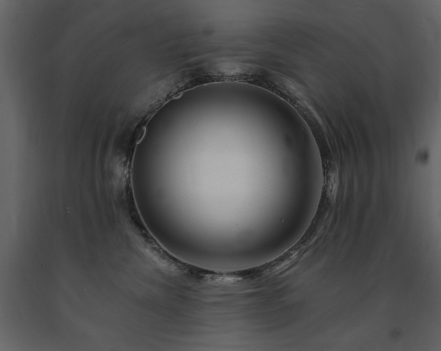 X0000091670476200708231334