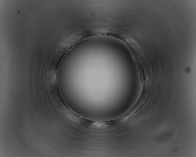 X0000091670477200708231334