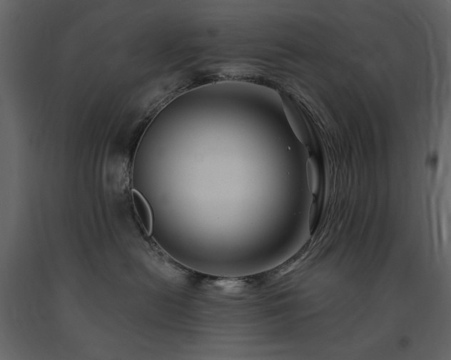 X0000091670478200708231334