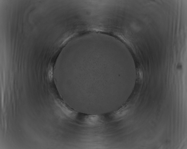 X0000091670479200708231334