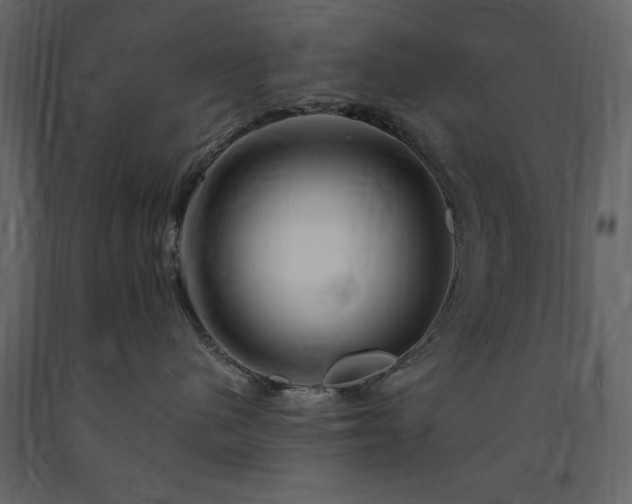 X0000091670480200708231334