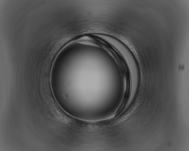 X0000091670481200708231333