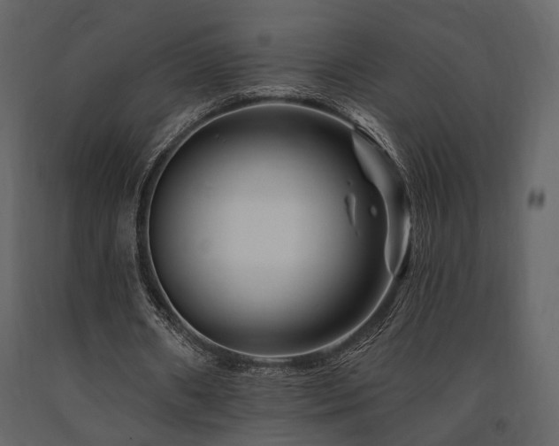 X0000091670482200708231333