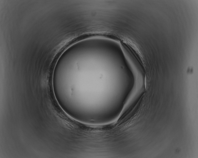 X0000091670483200708231333