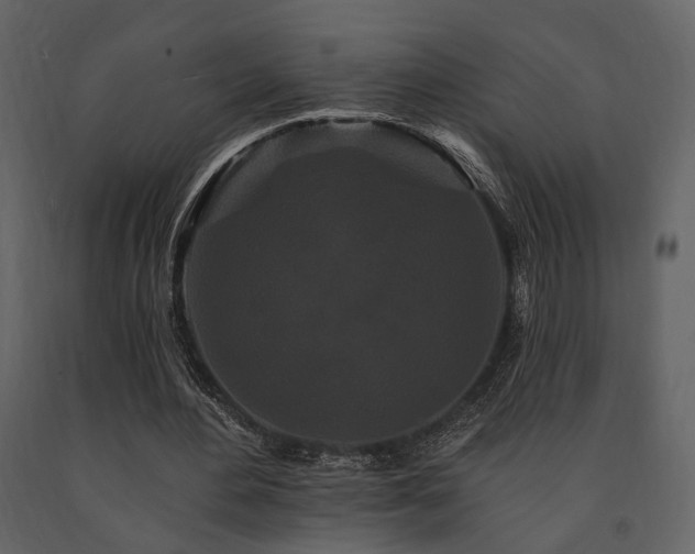 X0000091670484200708231333