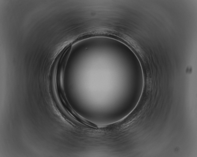 X0000091670485200708231333