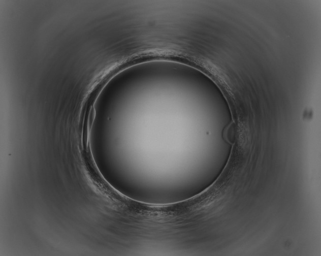 X0000091670486200708231333