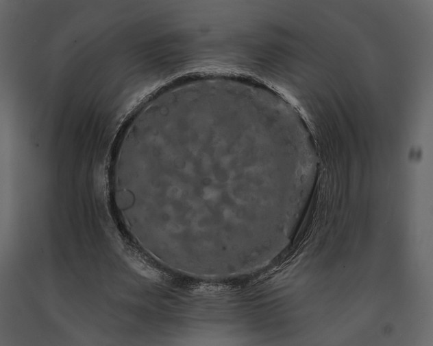 X0000091670487200708231333