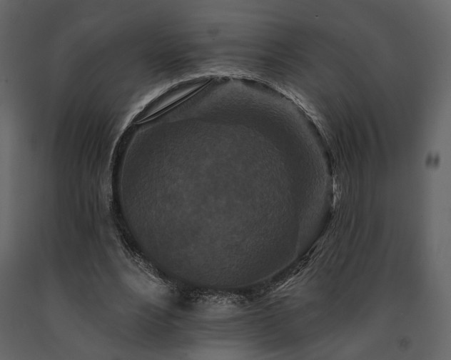 X0000091670488200708231333