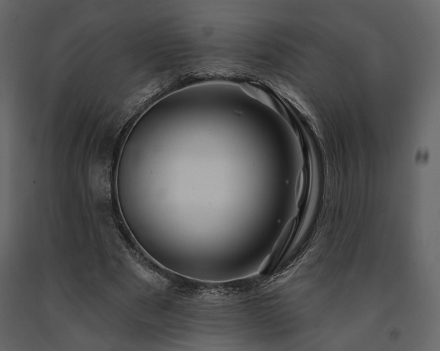 X0000091670489200708231333