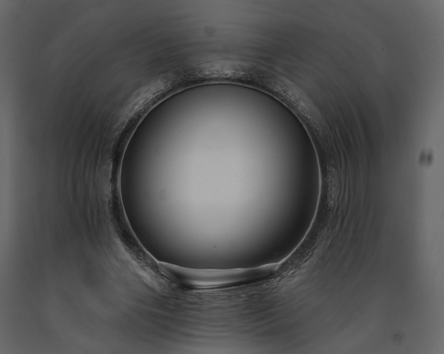 X0000091670490200708231333