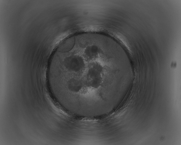 X0000091670491200708231333