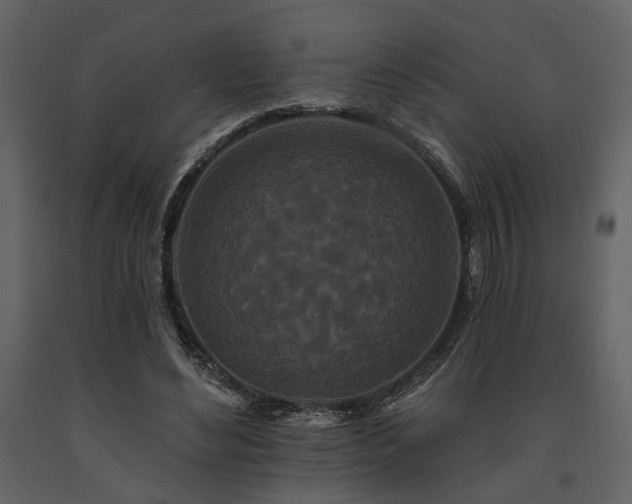 X0000091670492200708231333
