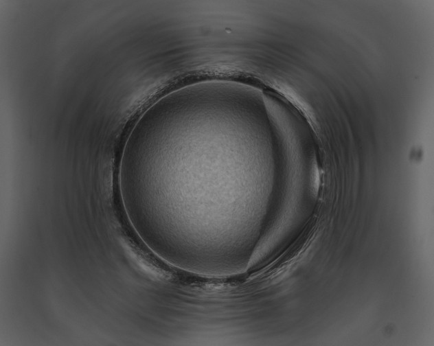 X0000091670493200708231333