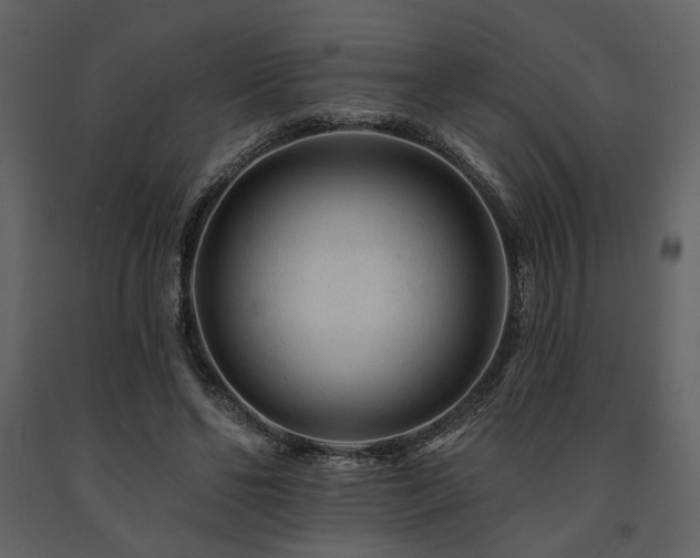 X0000091670494200708231333