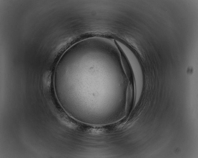 X0000091670495200708231333