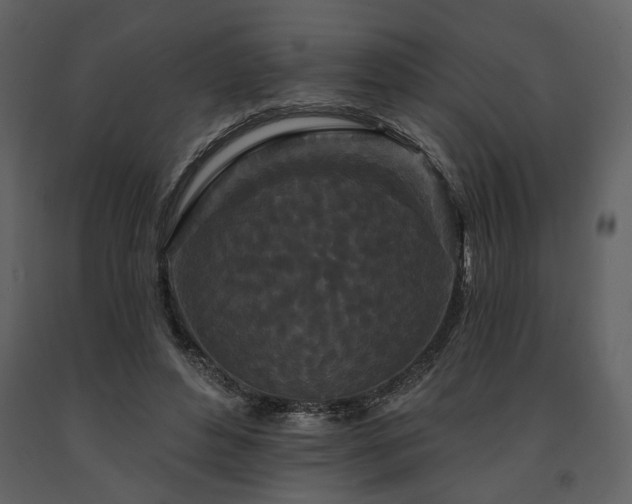 X0000091670496200708231333