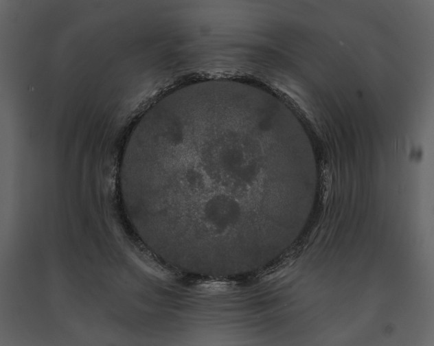 X0000091670499200708231333