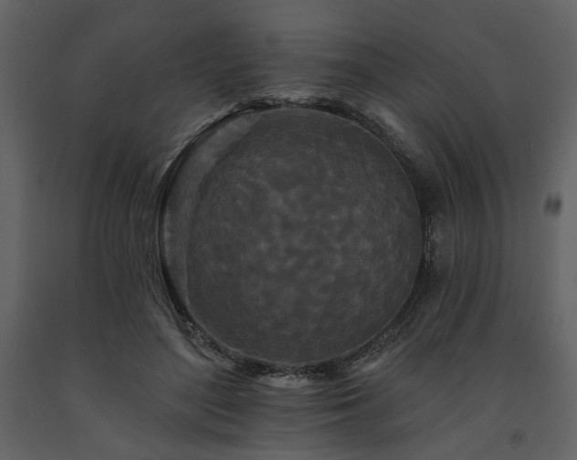 X0000091670500200708231332